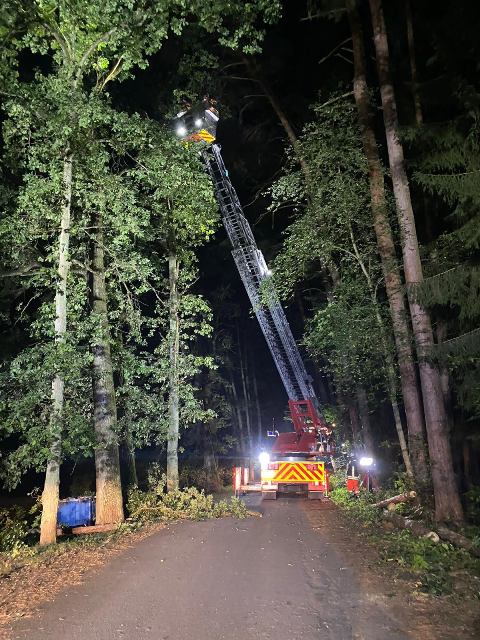 IMG-20200914-WA0002 groß.jpg